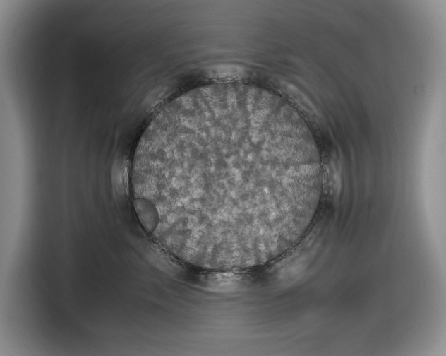 X0000116580717200912171524