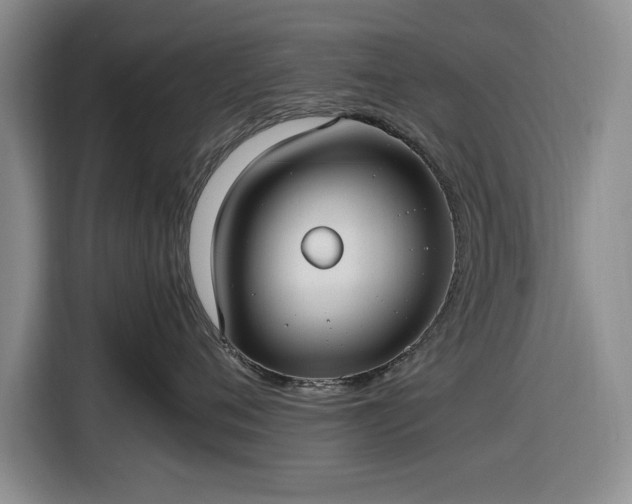 X0000116580720200912171524