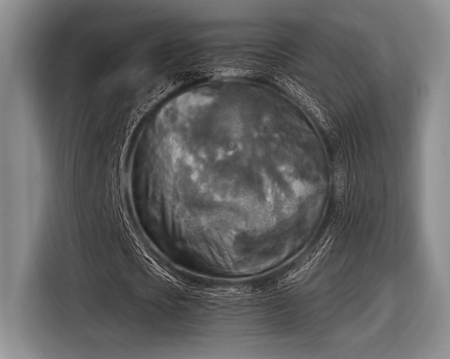 X0000116580721200912171523