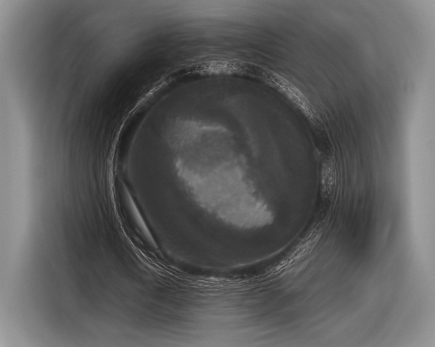 X0000116580722200912171523