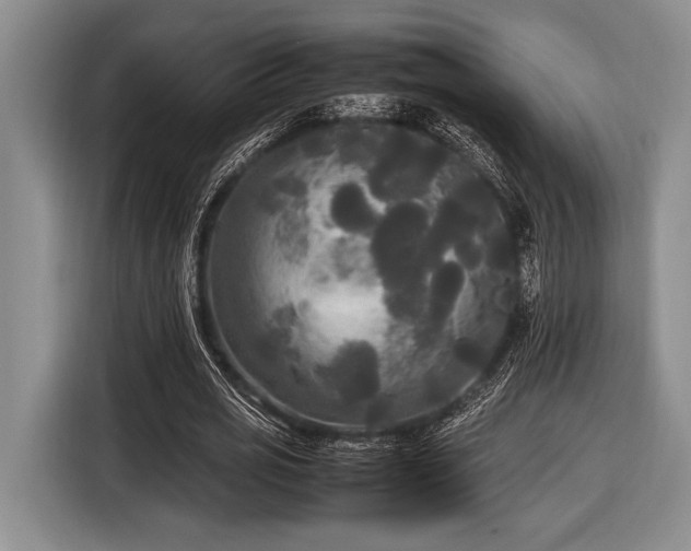 X0000116580725200912171523