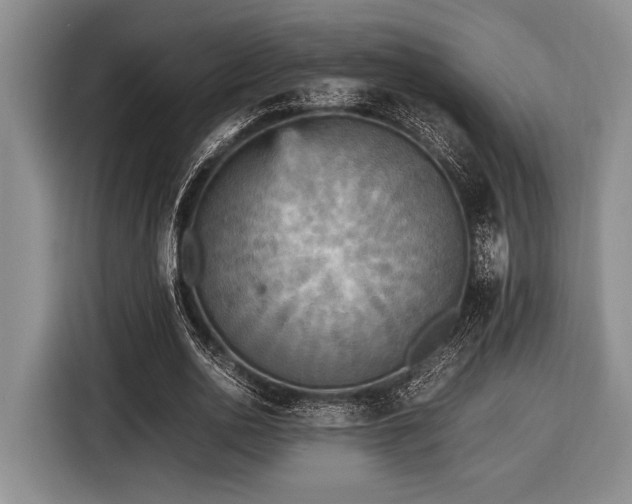 X0000116580726200912171523