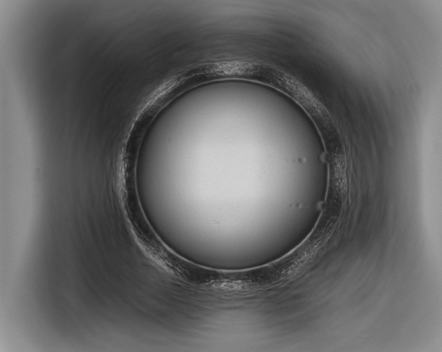 X0000116580730200912171523