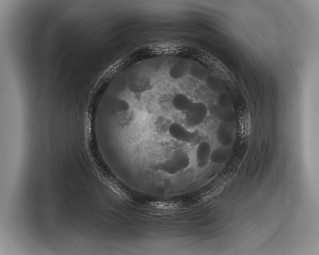 X0000116580733200912171523