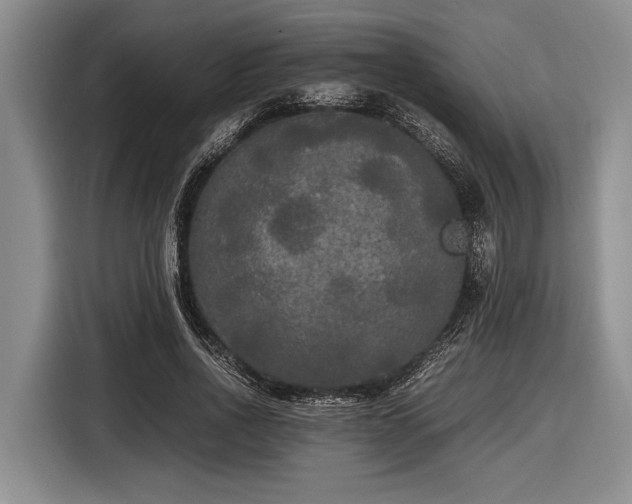 X0000116580734200912171523