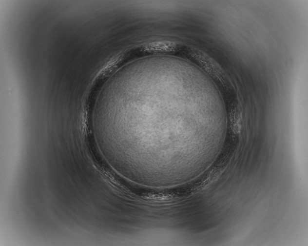 X0000116580735200912171523