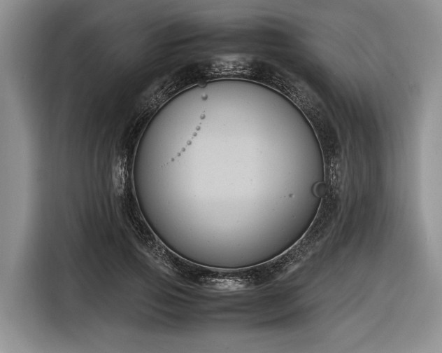 X0000116580741200912171523