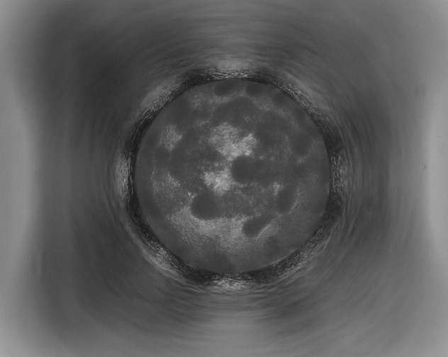 X0000116580742200912171523