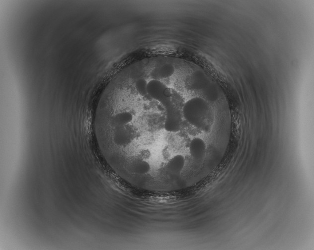 X0000116580745200912171523