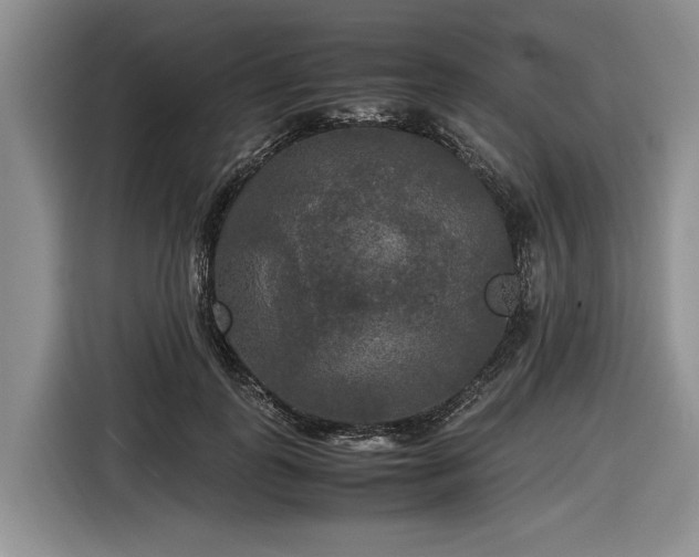 X0000116580747200912171523