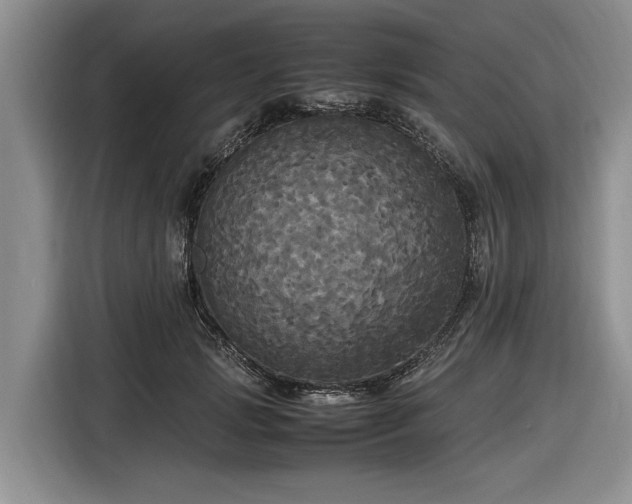 X0000116580749200912171523