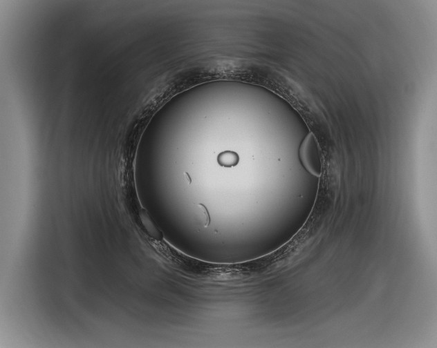 X0000116580750200912171523