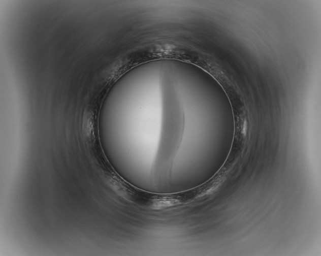 X0000116580754200912171523