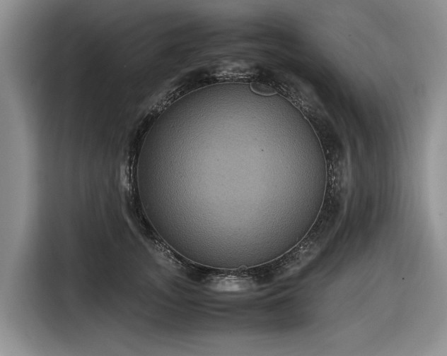 X0000116580755200912171523