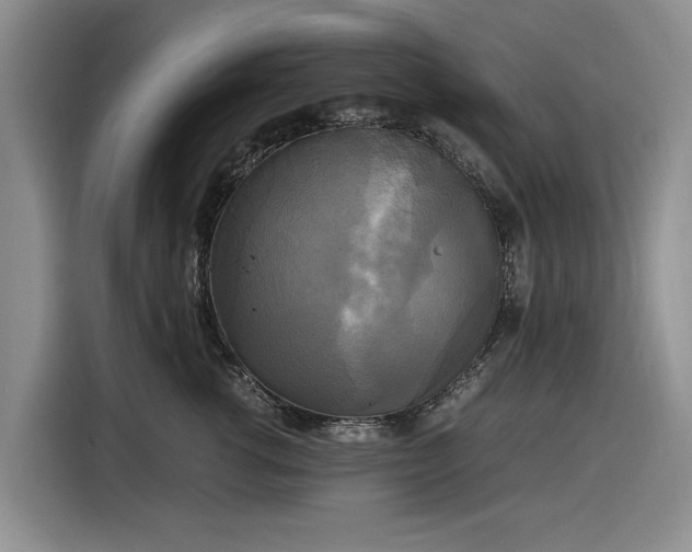 X0000116580762200912171524