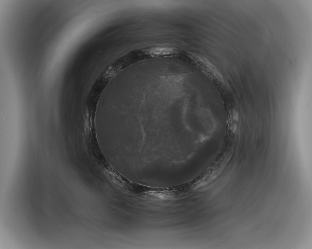 X0000116580763200912171524