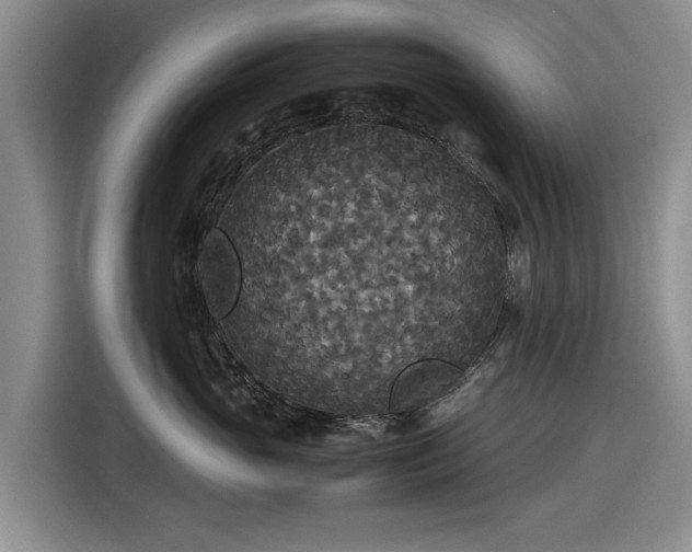 X0000116580765200912171524