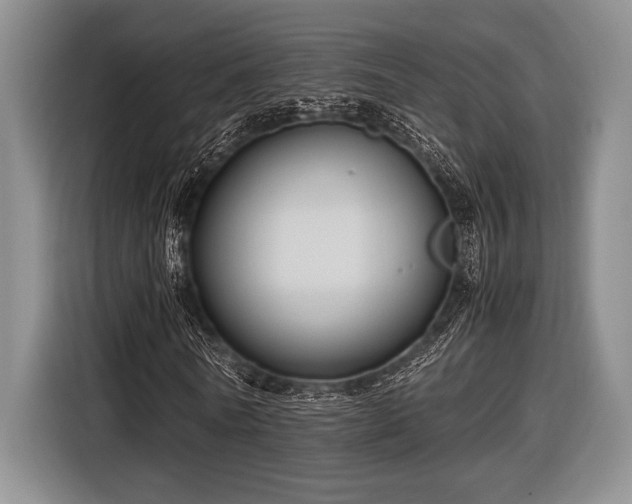 X0000116580770200912171523