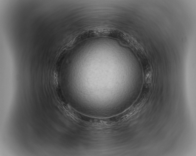 X0000116580772200912171523