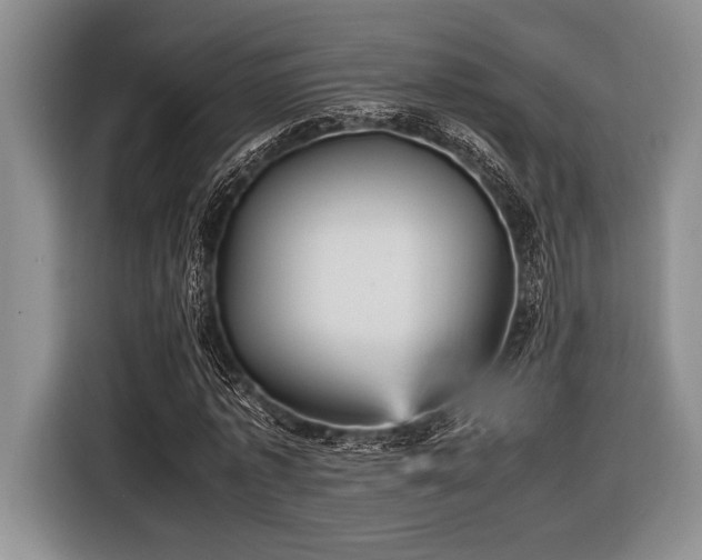 X0000116580773200912171523