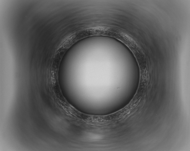 X0000116580774200912171523