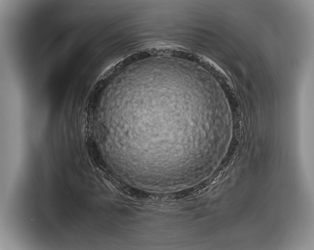 X0000116580775200912171523