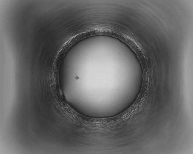 X0000116580776200912171523