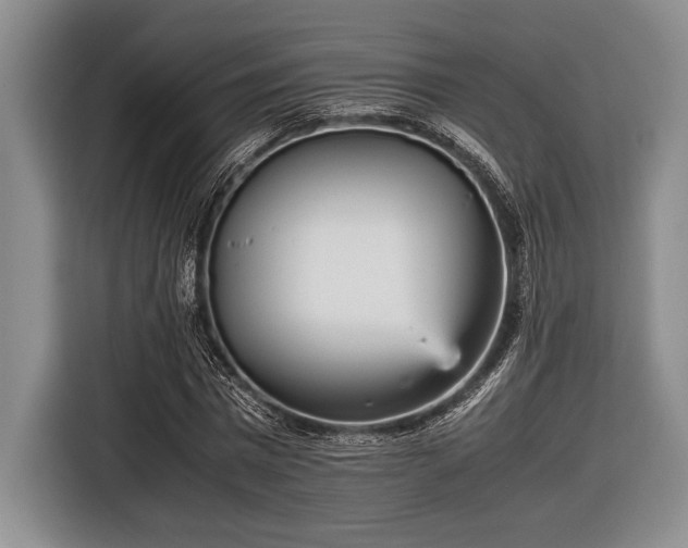 X0000116580777200912171523