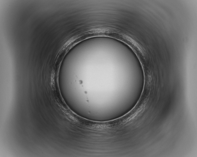 X0000116580778200912171523