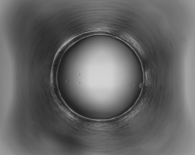 X0000116580780200912171523