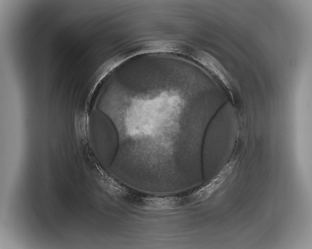 X0000116580781200912171523