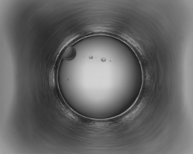 X0000116580782200912171523