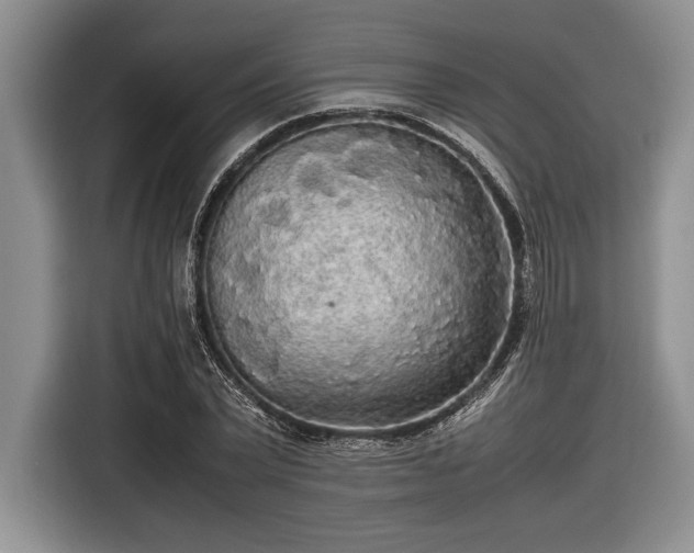 X0000116580783200912171523