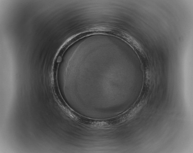 X0000116580784200912171523