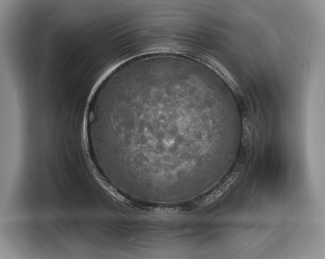 X0000116580788200912171523