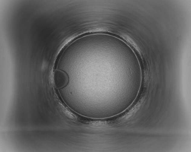 X0000116580789200912171523