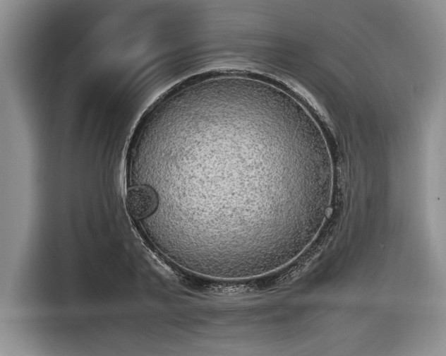 X0000116580791200912171523