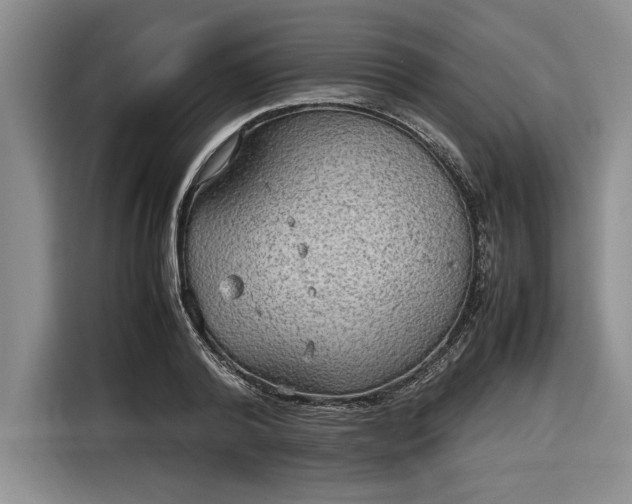 X0000116580792200912171523