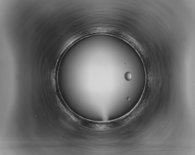 X0000116580794200912171523