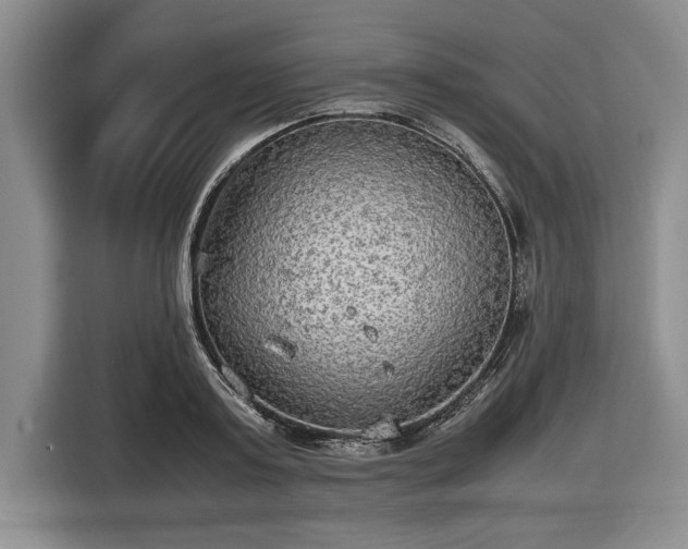 X0000116580795200912171523