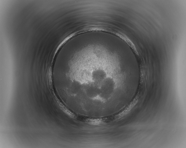 X0000116580798200912171523