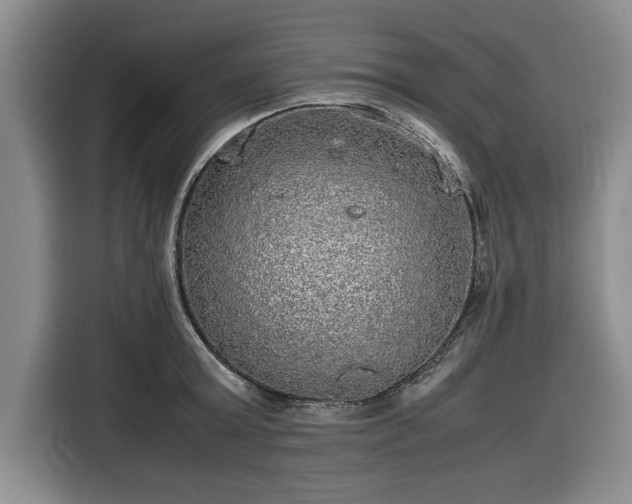 X0000116580803200912171523