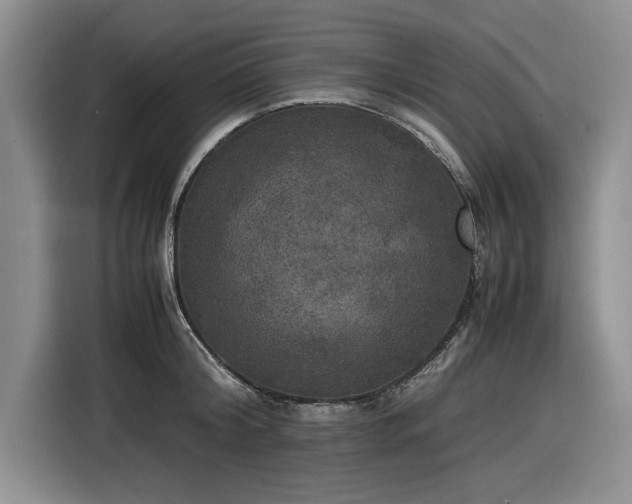 X0000116580804200912171523