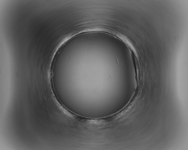 X0000116580805200912171522