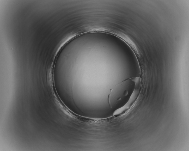 X0000116580806200912171522