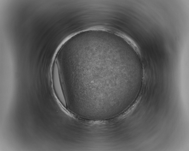 X0000116580808200912171522