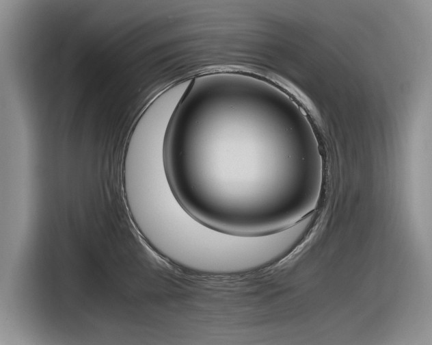 X0000116580809200912171522