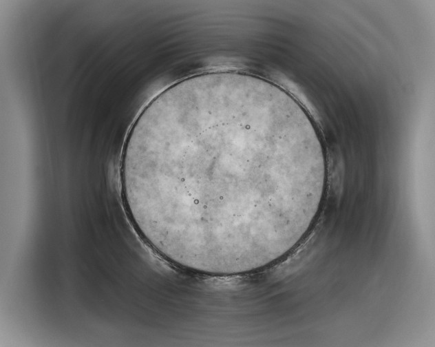 X0000116580810200912171522