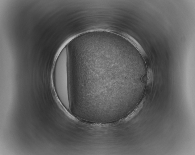 X0000116580812200912171522