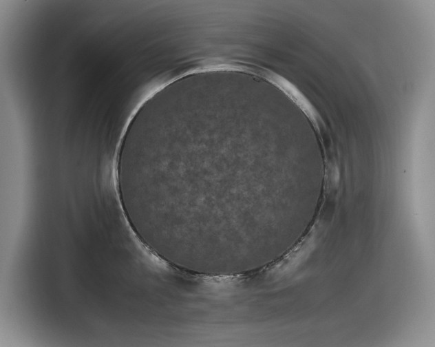 X0000116580813200912171522